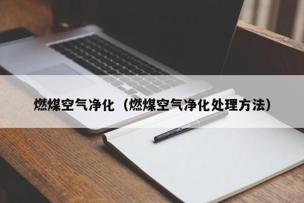 燃煤空气净化（燃煤空气净化处理方法）