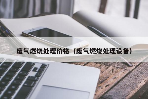 废气燃烧处理价格（废气燃烧处理设备）
